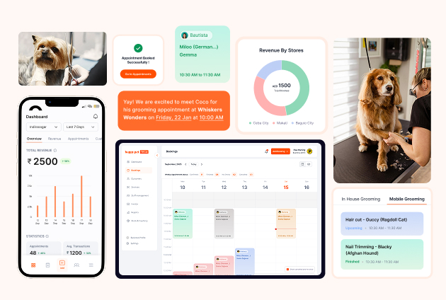 Manage Your Business with Smart Business Softwares